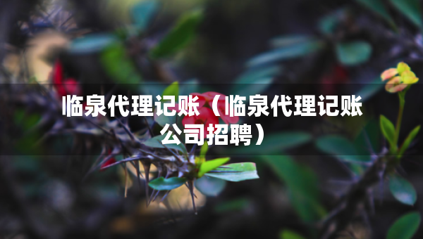 临泉代理记账（临泉代理记账公司招聘）