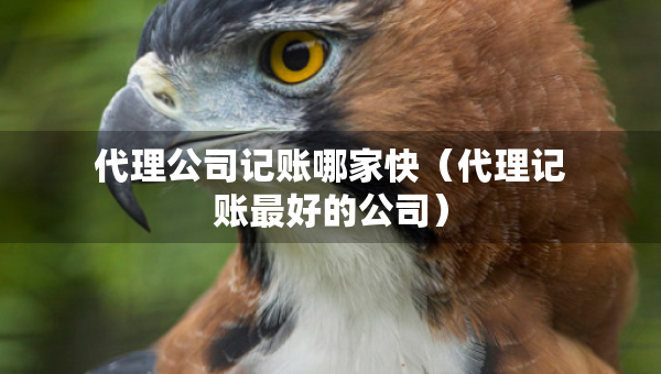 代理公司记账哪家快（代理记账最好的公司）