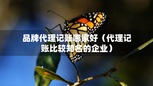 品牌代理记账哪家好（代理记账比较知名的企业）