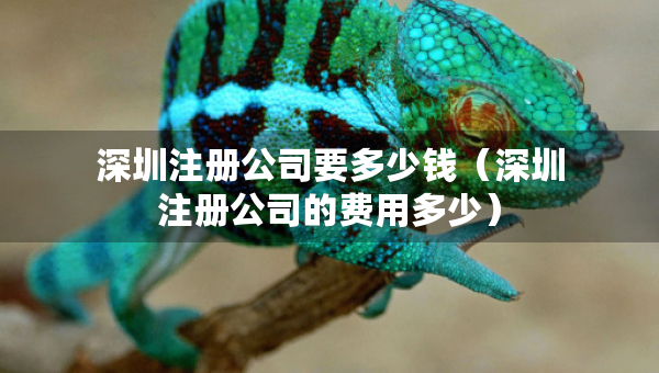 深圳注册公司要多少钱（深圳注册公司的费用多少）