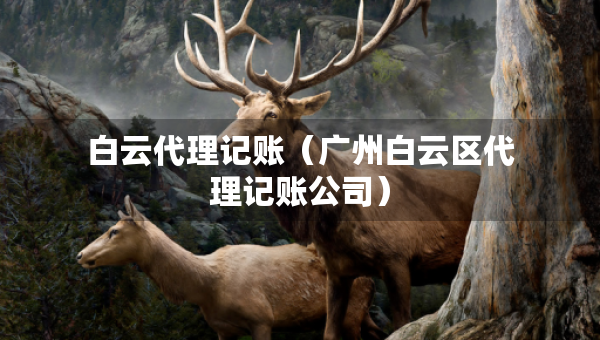 白云代理记账（广州白云区代理记账公司）