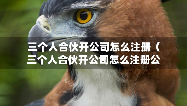 三个人合伙开公司怎么注册（三个人合伙开公司怎么注册公司）