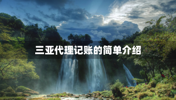 三亚代理记账的简单介绍