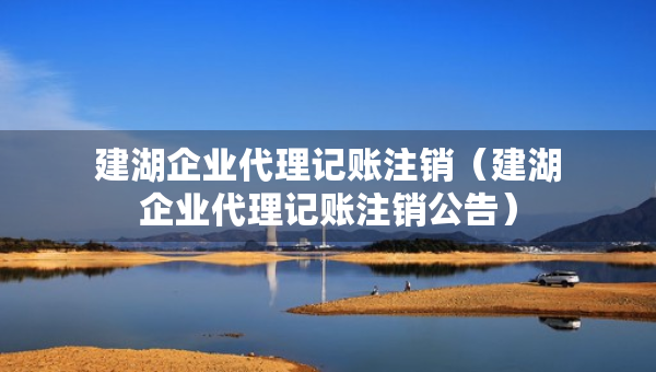 建湖企业代理记账注销（建湖企业代理记账注销公告）