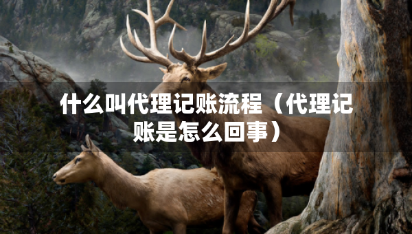 什么叫代理记账流程（代理记账是怎么回事）