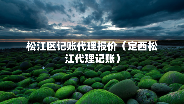 松江区记账代理报价（定西松江代理记账）