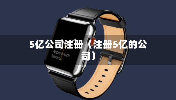 5亿公司注册（注册5亿的公司）