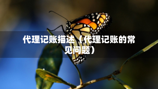 代理记账描述（代理记账的常见问题）