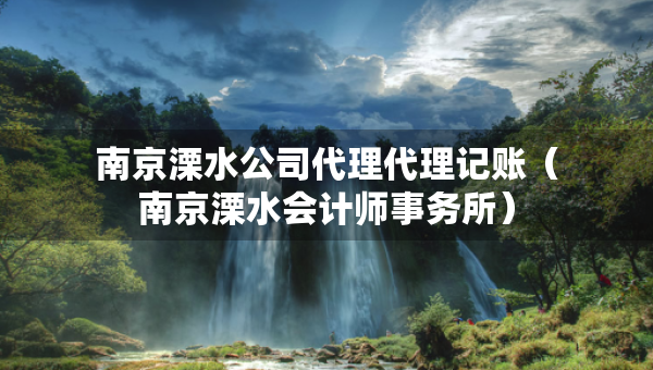 南京溧水公司代理代理记账（南京溧水会计师事务所）
