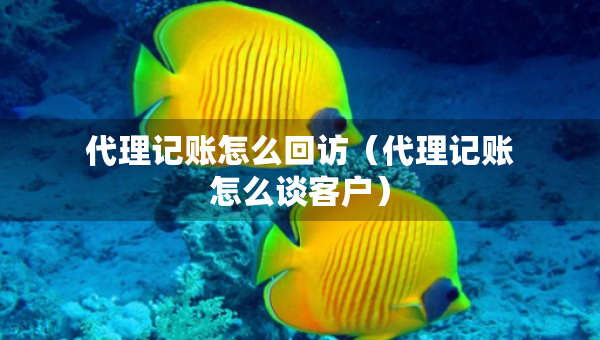 代理记账怎么回访（代理记账怎么谈客户）