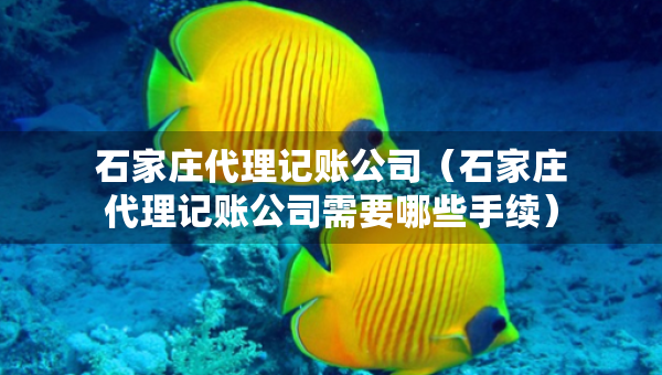 石家庄代理记账公司（石家庄代理记账公司需要哪些手续）
