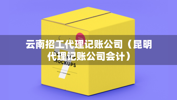 云南招工代理记账公司（昆明代理记账公司会计）