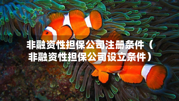 非融资性担保公司注册条件（非融资性担保公司设立条件）