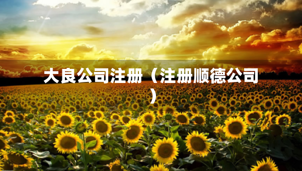 大良公司注册（注册顺德公司）