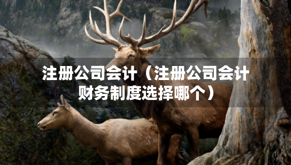 注册公司会计（注册公司会计财务制度选择哪个）