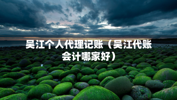 吴江个人代理记账（吴江代账会计哪家好）