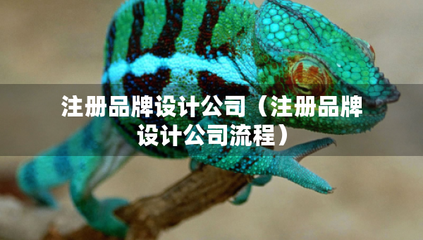 注册品牌设计公司（注册品牌设计公司流程）