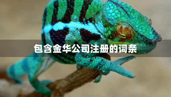包含金华公司注册的词条