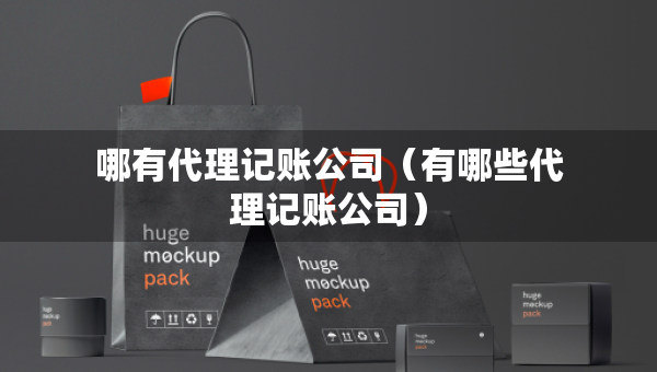 哪有代理记账公司（有哪些代理记账公司）