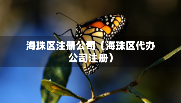 海珠区注册公司（海珠区代办公司注册）