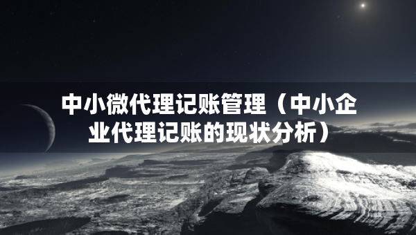 中小微代理记账管理（中小企业代理记账的现状分析）