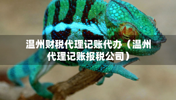 温州财税代理记账代办（温州代理记账报税公司）
