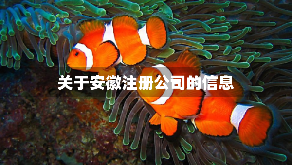 关于安徽注册公司的信息