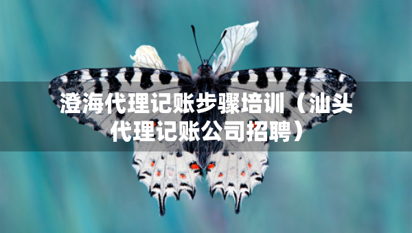 澄海代理记账步骤培训（汕头代理记账公司招聘）