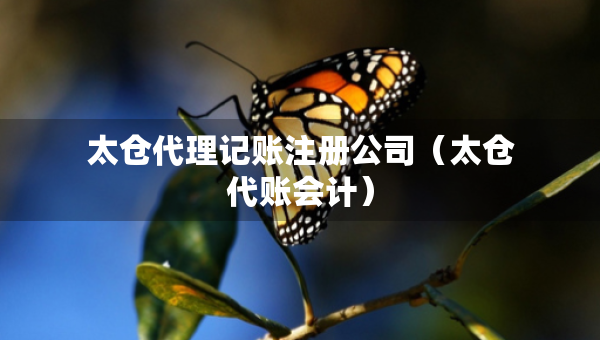 太仓代理记账注册公司（太仓代账会计）