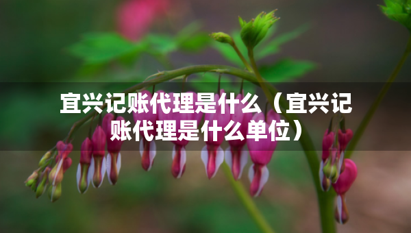 宜兴记账代理是什么（宜兴记账代理是什么单位）