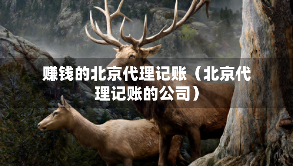 赚钱的北京代理记账（北京代理记账的公司）