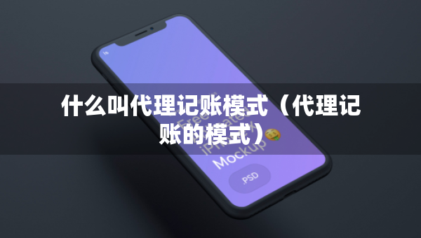 什么叫代理记账模式（代理记账的模式）