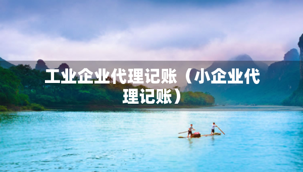工业企业代理记账（小企业代理记账）