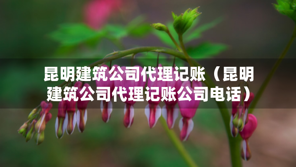 昆明建筑公司代理记账（昆明建筑公司代理记账公司电话）