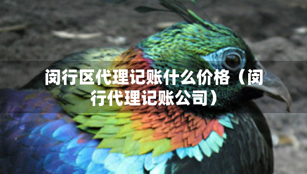 闵行区代理记账什么价格（闵行代理记账公司）
