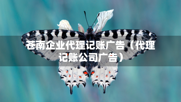 苍南企业代理记账广告（代理记账公司广告）