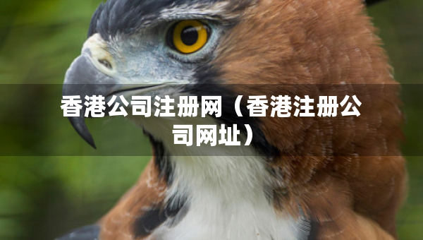 香港公司注册网（香港注册公司网址）