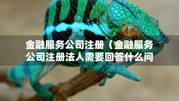 金融服务公司注册（金融服务公司注册法人需要回答什么问题）