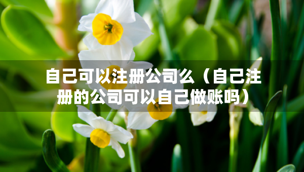 自己可以注册公司么（自己注册的公司可以自己做账吗）