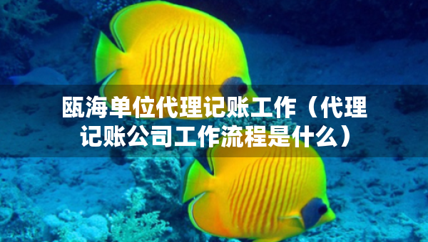 瓯海单位代理记账工作（代理记账公司工作流程是什么）