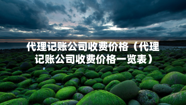 代理记账公司收费价格（代理记账公司收费价格一览表）