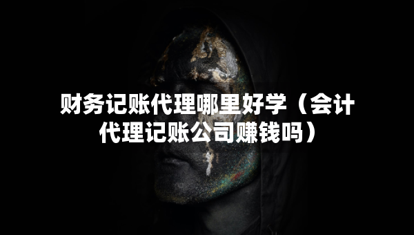 财务记账代理哪里好学（会计代理记账公司赚钱吗）