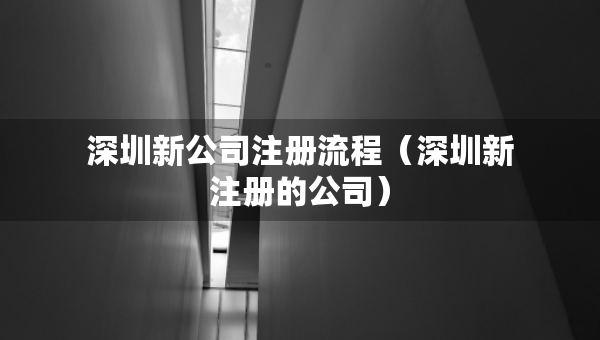 深圳新公司注册流程（深圳新注册的公司）