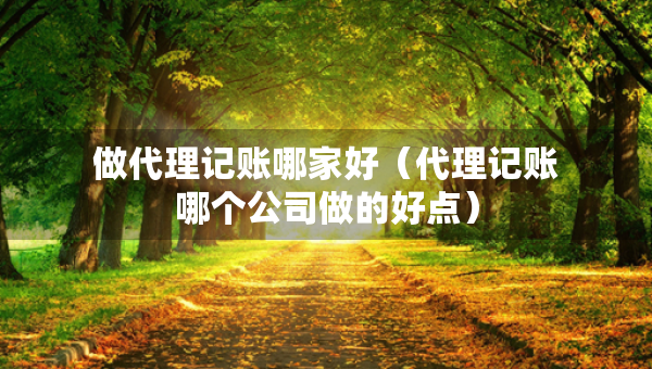 做代理记账哪家好（代理记账哪个公司做的好点）