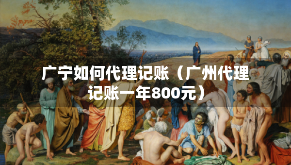 广宁如何代理记账（广州代理记账一年800元）