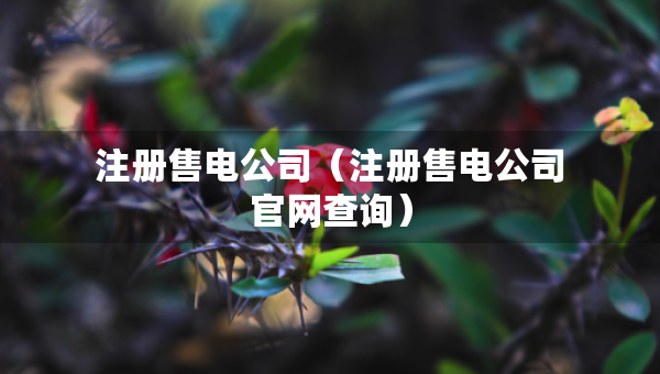 注册售电公司（注册售电公司官网查询）