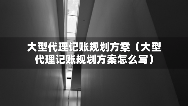 大型代理记账规划方案（大型代理记账规划方案怎么写）