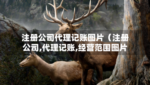 注册公司代理记账图片（注册公司,代理记账,经营范围图片）