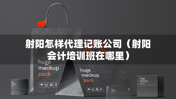 射阳怎样代理记账公司（射阳会计培训班在哪里）