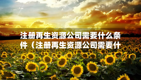 注册再生资源公司需要什么条件（注册再生资源公司需要什么材料）
